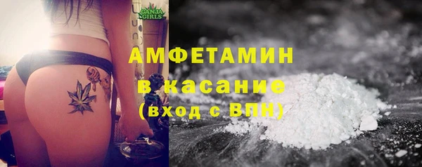 молекула духа Вяземский